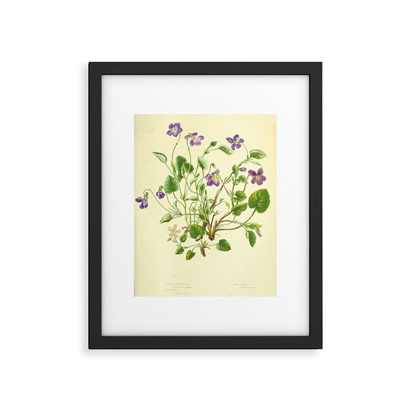 Violet by Anne Pratt, 1800s (benefitting The Nature Conservancy) Framed Art Print Gallery Image 5