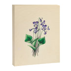  Violets by Clarissa Munger Badger, 1859 (benefitting The Nature Conservancy) Canvas Print Gallery Image 6