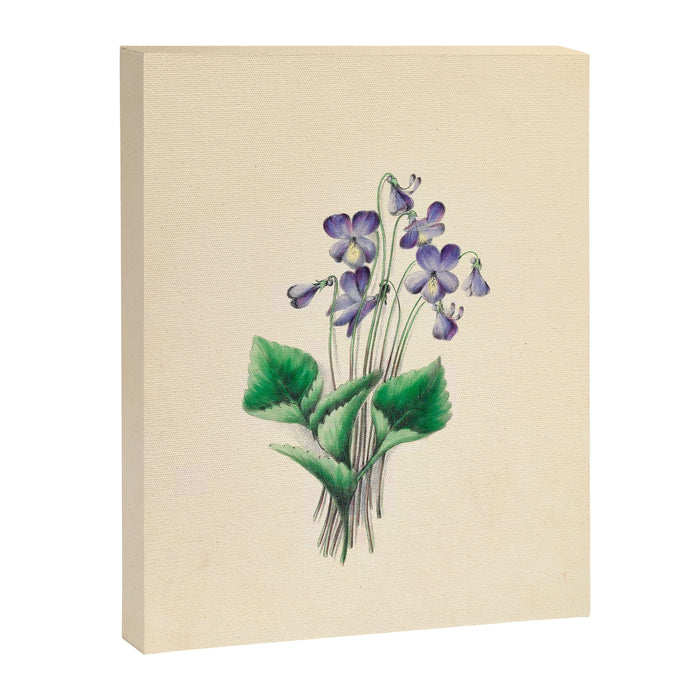  Violets by Clarissa Munger Badger, 1859 (benefitting The Nature Conservancy) Canvas Print Gallery Image 1