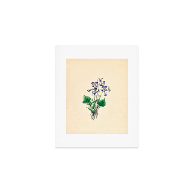  Violets by Clarissa Munger Badger, 1859 (benefitting The Nature Conservancy) Art Print Gallery Image 1