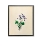  Violets by Clarissa Munger Badger, 1859 (benefitting The Nature Conservancy) Framed Canvas Print Gallery Image 6