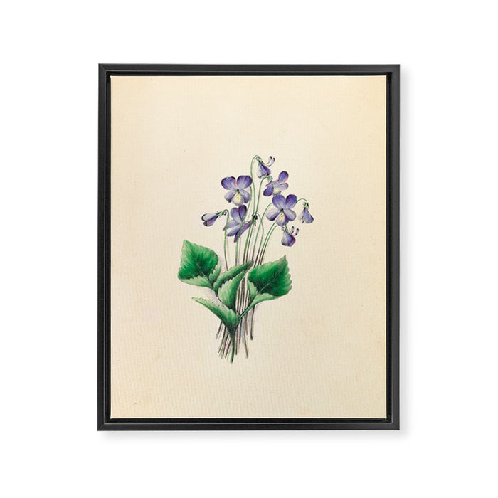  Violets by Clarissa Munger Badger, 1859 (benefitting The Nature Conservancy) Framed Canvas Print Gallery Image 1