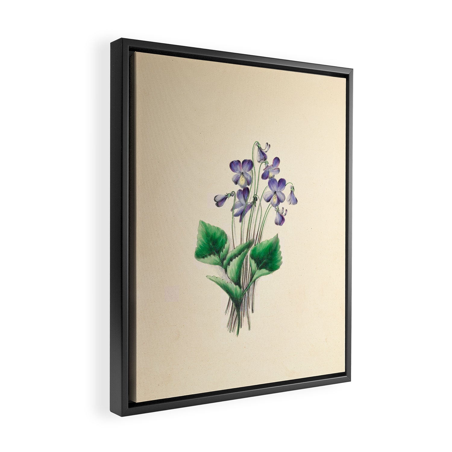  Violets by Clarissa Munger Badger, 1859 (benefitting The Nature Conservancy) Framed Canvas Print Gallery Image 2
