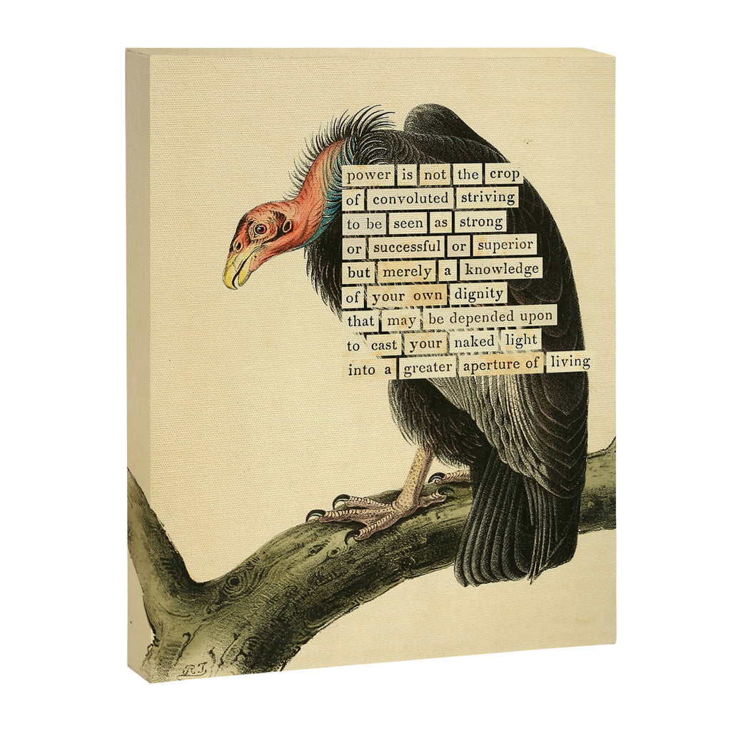 Vulture Divination from # An Almanac of Birds # Divinations for Uncertain Days Canvas Print Gallery Image 6