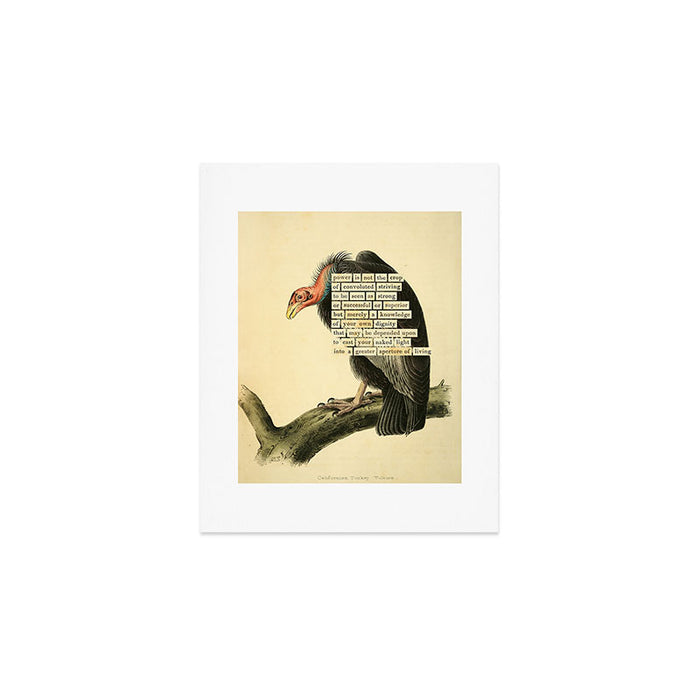 Vulture Divination from # An Almanac of Birds # Divinations for Uncertain Days Art Print Gallery Image 1