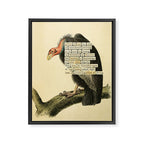 Vulture Divination from # An Almanac of Birds # Divinations for Uncertain Days Framed Canvas Print Gallery Image 6