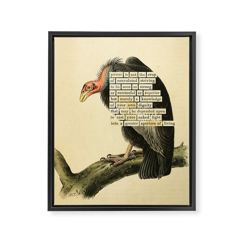 Vulture Divination from # An Almanac of Birds # Divinations for Uncertain Days Framed Canvas Print Gallery Image 6