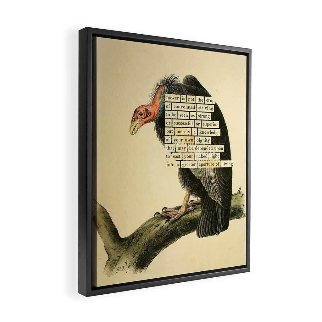 Vulture Divination from # An Almanac of Birds # Divinations for Uncertain Days Framed Canvas Print Gallery Image 2