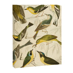 Warblers from The Edinburgh Journal, 1835 (benefitting The Nature Conservancy) Canvas Print Gallery Image 6