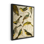 Warblers from The Edinburgh Journal, 1835 (benefitting The Nature Conservancy) Framed Canvas Print Gallery Image 2