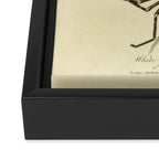 "White-Jointed Spider" by Sarah Stone, 1790 Framed Canvas Print Gallery Image 3