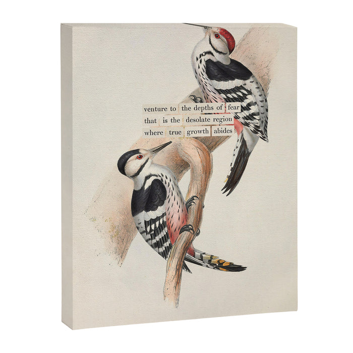 White-rumped Woodpecker Divination from # An Almanac of Birds # Divinations for Uncertain Days Canvas Print Gallery Image 1