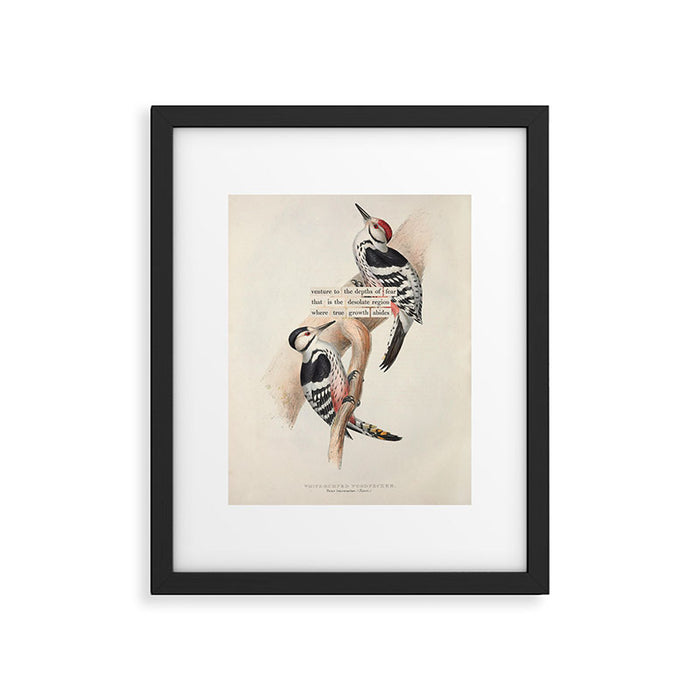 White-rumped Woodpecker Divination from # An Almanac of Birds # Divinations for Uncertain Days Framed Art Print Gallery Image 1