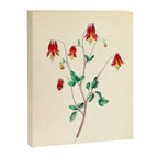  Wild Columbine by Clarissa Munger Badger, 1859 (benefitting The Nature Conservancy) Canvas Print Gallery Image 6
