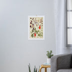 Wildflowers from "Rocky Mountain Flowers" (1914) by Edith Clements (benefitting The Nature Conservancy) Art Print Gallery Image 3