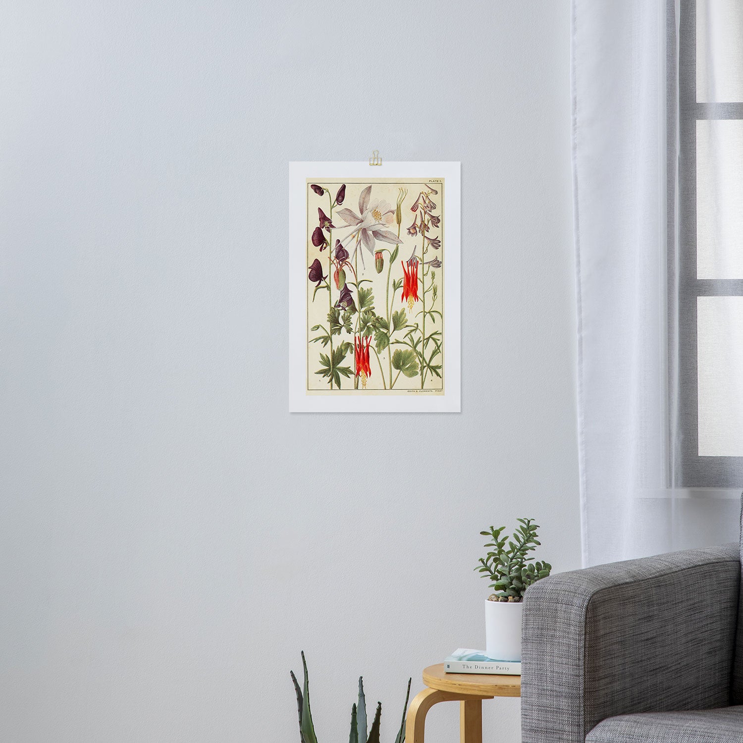 Wildflowers from "Rocky Mountain Flowers" (1914) by Edith Clements (benefitting The Nature Conservancy) Art Print Gallery Image 3