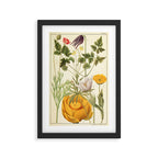 Wildflowers from "Rocky Mountain Flowers" (1914) by Edith Clements (benefitting The Nature Conservancy) Framed Art Print Gallery Image 2