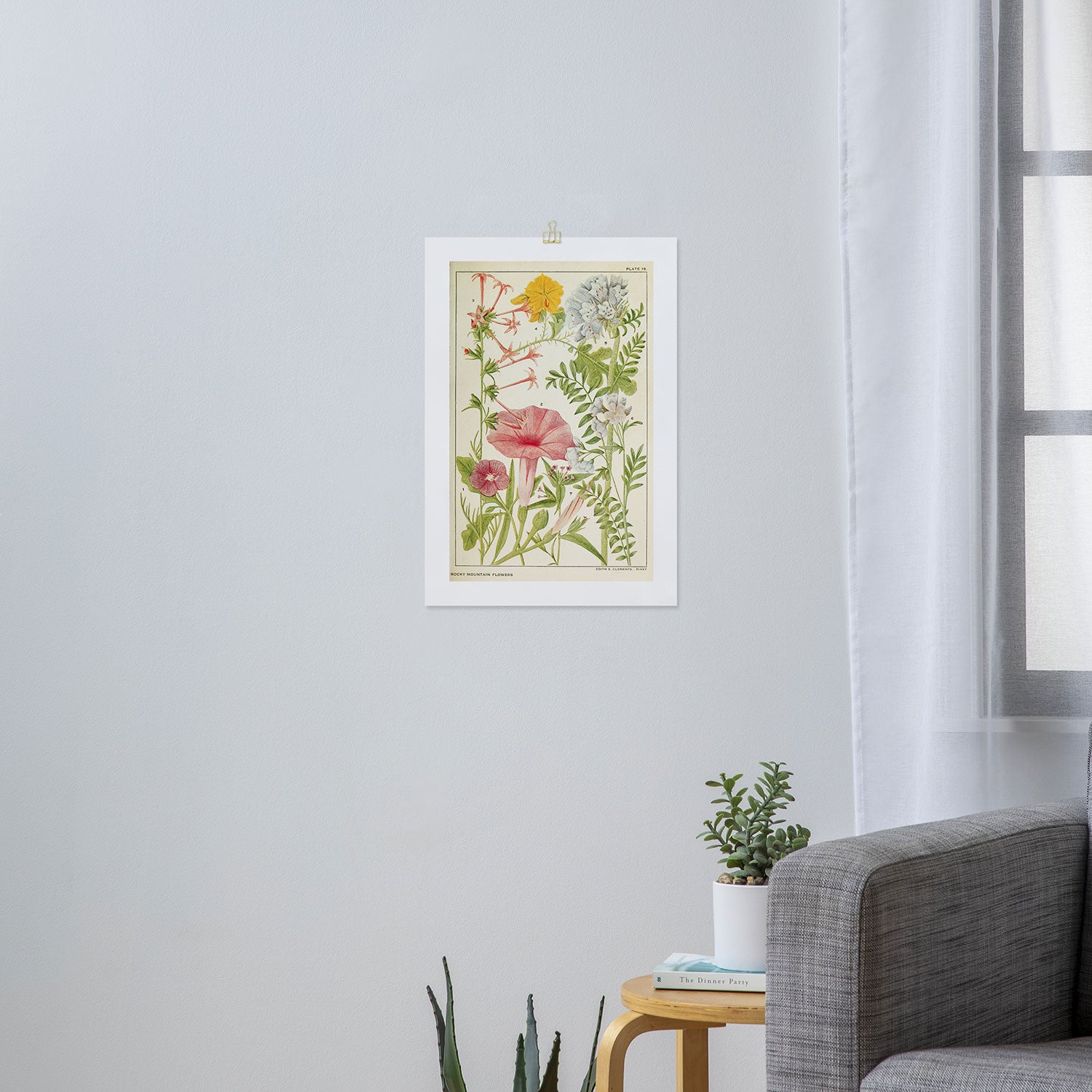 Wildflowers from "Rocky Mountain Flowers" (1914) by Edith Clements (benefitting The Nature Conservancy) Art Print Gallery Image 3