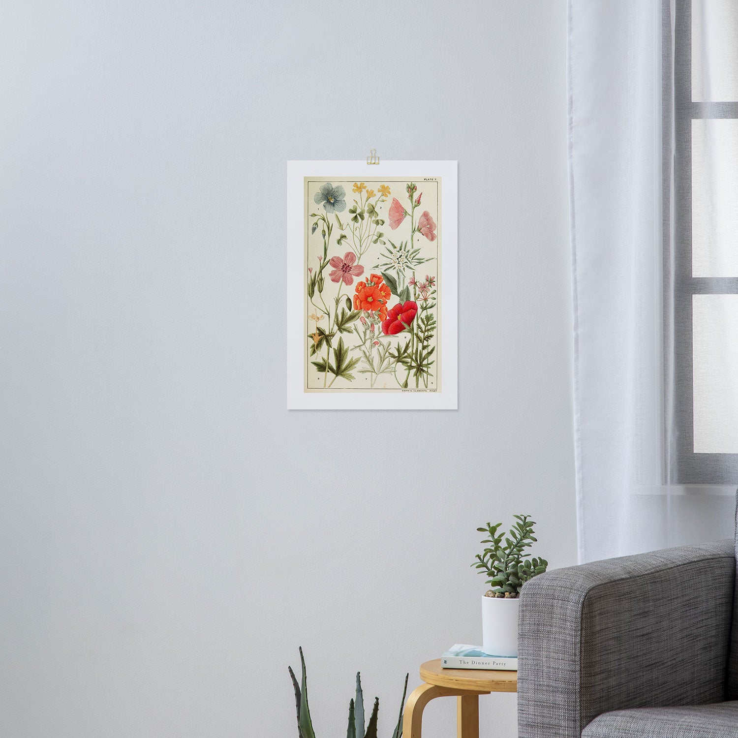 Wildflowers from "Rocky Mountain Flowers" (1914) by Edith Clements (benefitting The Nature Conservancy) Art Print Gallery Image 3