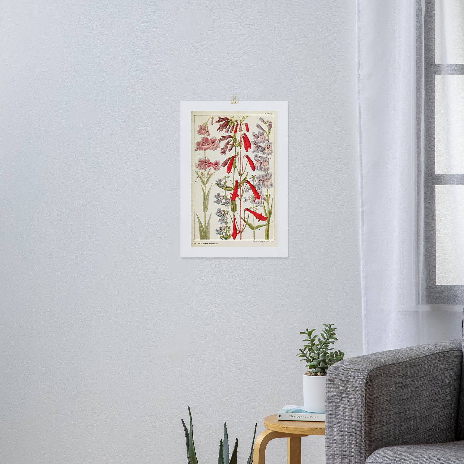 Wildflowers from "Rocky Mountain Flowers" (1914) by Edith Clements (benefitting The Nature Conservancy) Art Print Gallery Image 3
