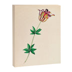 Wood lily by Clarissa Munger Badger, 1859 (benefitting The Nature Conservancy) Canvas Print Gallery Image 6