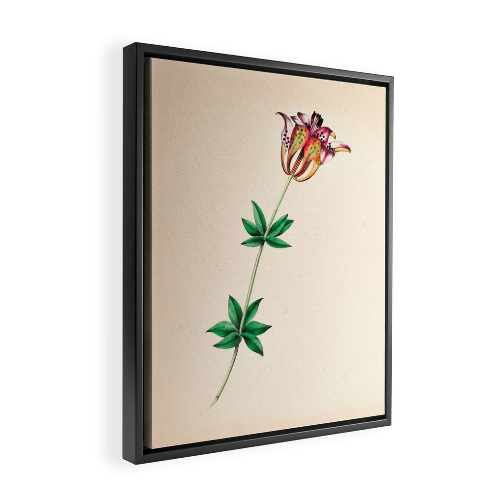  Wood lily by Clarissa Munger Badger, 1859 (benefitting The Nature Conservancy) Framed Canvas Print Gallery Image 2