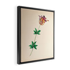  Wood lily by Clarissa Munger Badger, 1859 (benefitting The Nature Conservancy) Framed Canvas Print Gallery Image 2