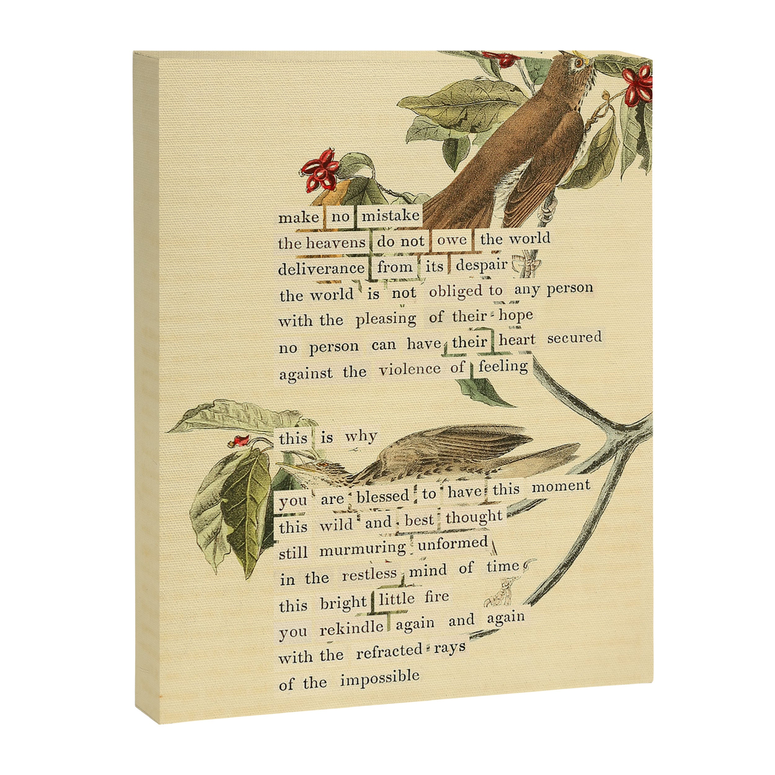 Wood Thrush Divination from # An Almanac of Birds # Divinations for Uncertain Days Art Print Canvas Print Gallery Image 6