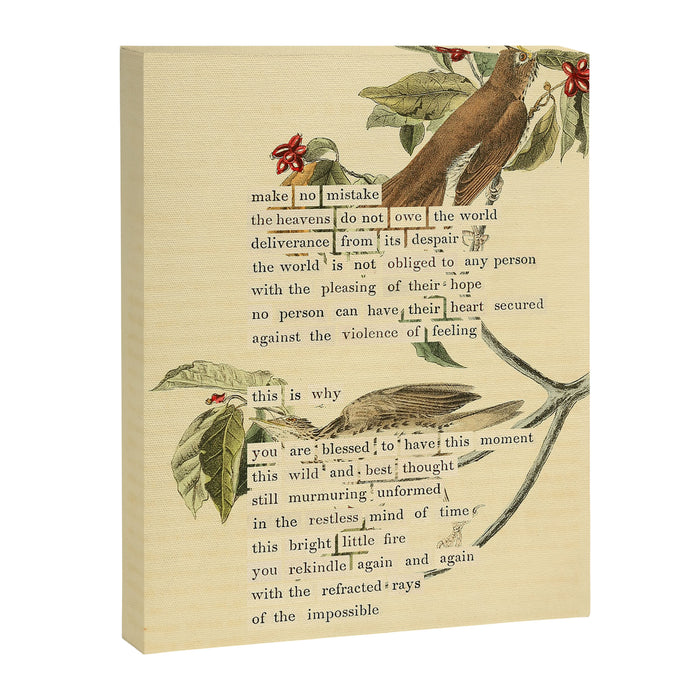 Wood Thrush Divination from # An Almanac of Birds # Divinations for Uncertain Days Art Print Canvas Print Gallery Image 1