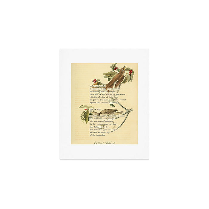 Wood Thrush Divination from # An Almanac of Birds # Divinations for Uncertain Days Art Print Art Print Gallery Image 1