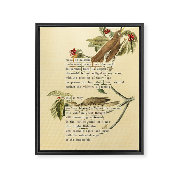 Wood Thrush Divination from # An Almanac of Birds # Divinations for Uncertain Days Art Print Framed Canvas Print Gallery Image 1