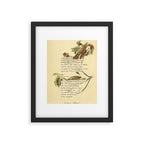 Wood Thrush Divination from # An Almanac of Birds # Divinations for Uncertain Days Art Print Framed Art Print Gallery Image 5