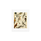 Woodpeckers from The Edinburgh Journal, 1835 (benefitting The Nature Conservancy) Art Print Gallery Image 1