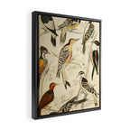 Woodpeckers from The Edinburgh Journal, 1835 (benefitting The Nature Conservancy) Framed Canvas Print Gallery Image 2