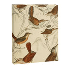 Wrens from The Edinburgh Journal, 1835 (benefitting The Nature Conservancy) Canvas Print Gallery Image 6