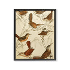 Wrens from The Edinburgh Journal, 1835 (benefitting The Nature Conservancy) Framed Canvas Print Gallery Image 6