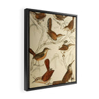 Wrens from The Edinburgh Journal, 1835 (benefitting The Nature Conservancy) Framed Canvas Print Gallery Image 2