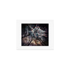Starry Sky in the Forest Art Print Gallery Image 1