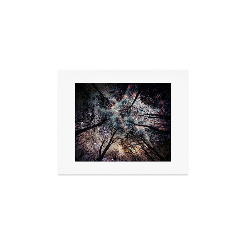 Starry Sky in the Forest Art Print Gallery Image 1