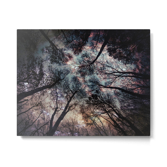 Starry Sky in the Forest Metal Print Gallery Image 1