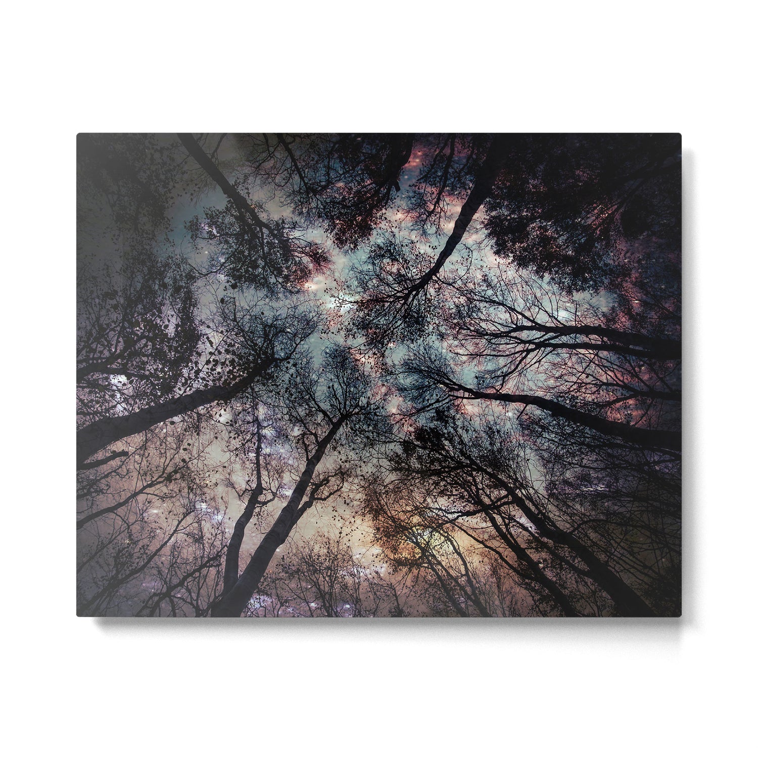 Starry Sky in the Forest Metal Print Gallery Image 6