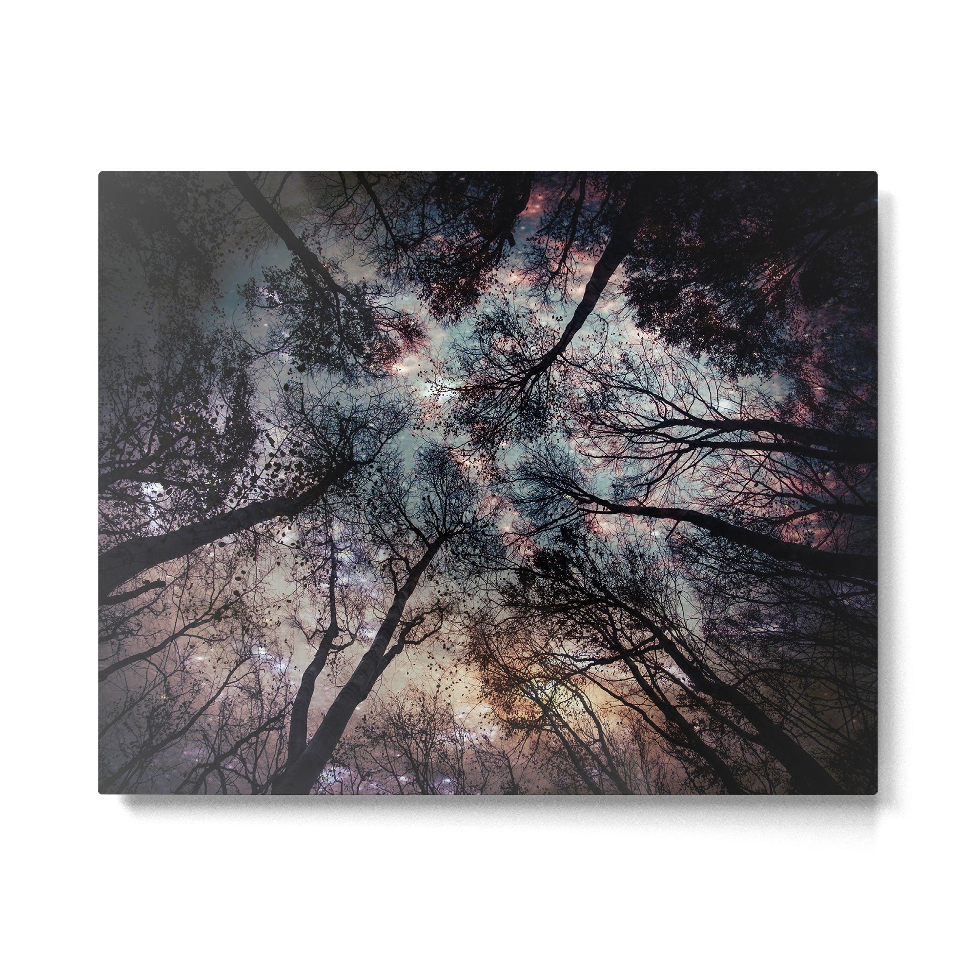 Starry Sky in the Forest Metal Print Gallery Image 6