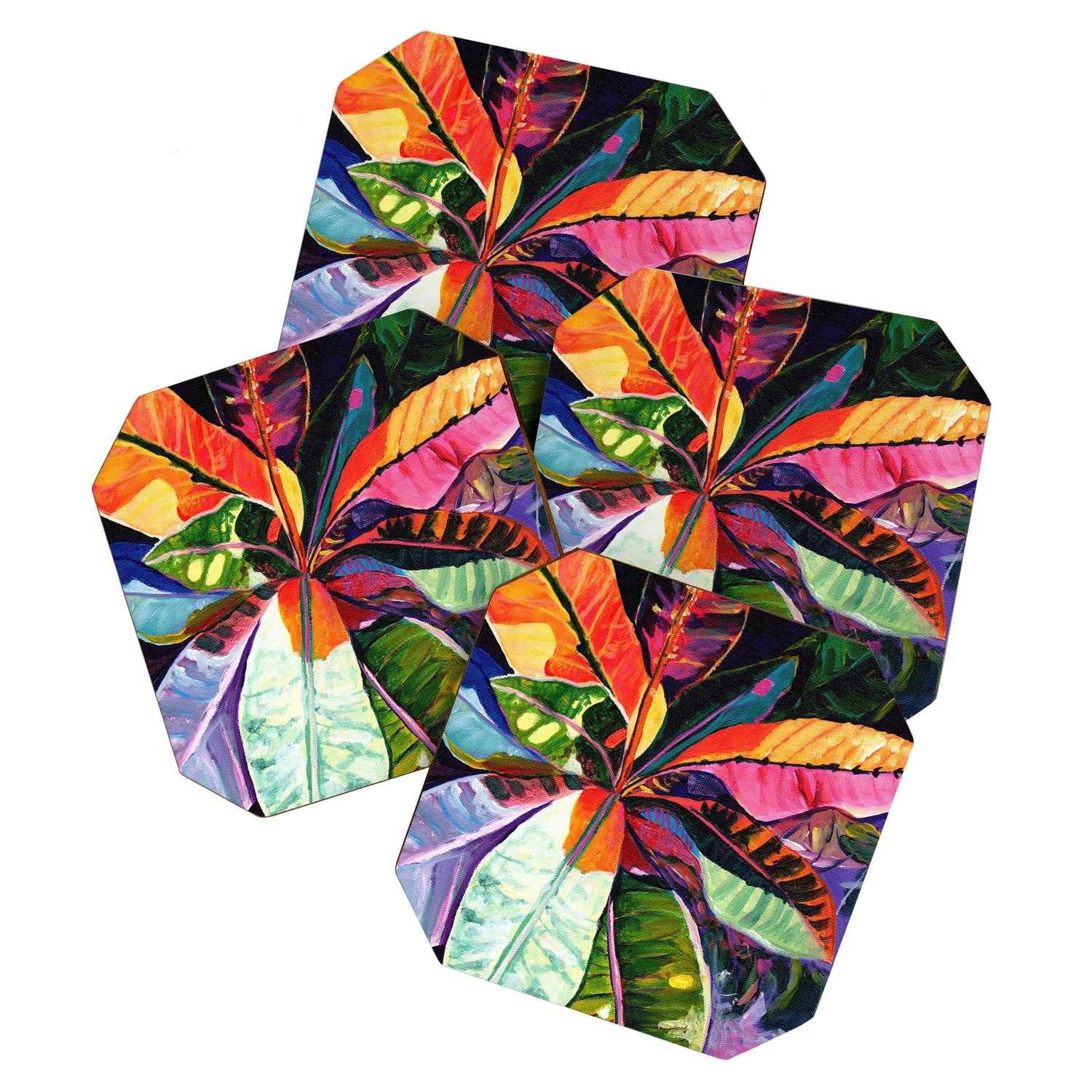 Kauai Croton Leaves Coaster Gallery Image 1