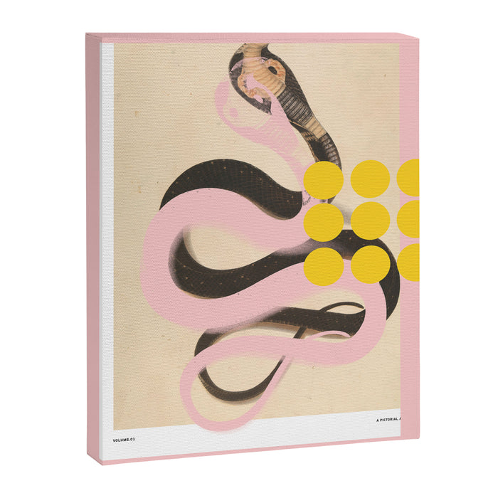 abstract daydream snake mix Canvas Print Gallery Image 1