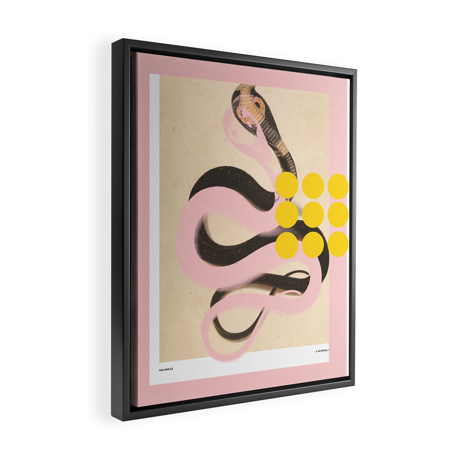 abstract daydream snake mix Framed Canvas Print Gallery Image 2