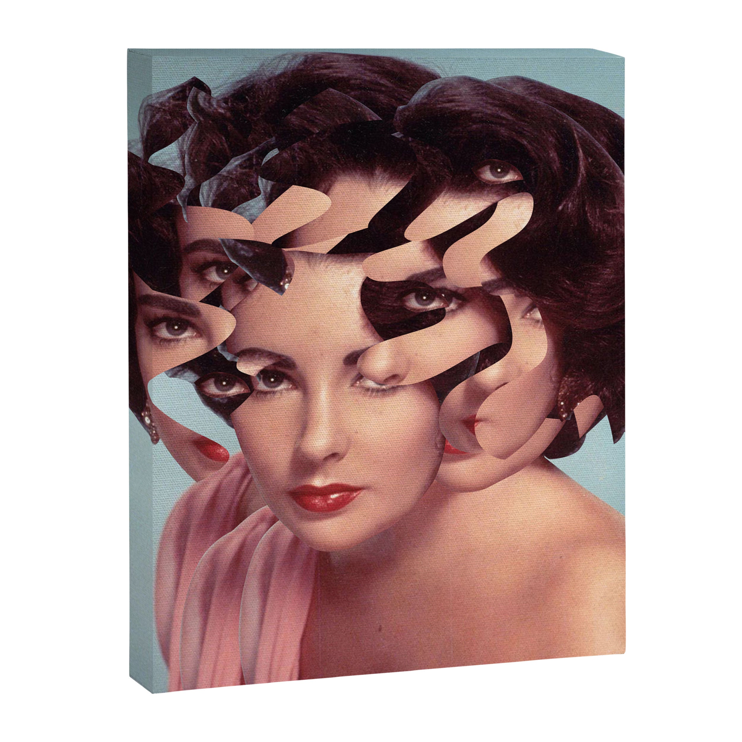 Another Portrait Disaster Liz 6 ne24 Canvas Print Gallery Image 8