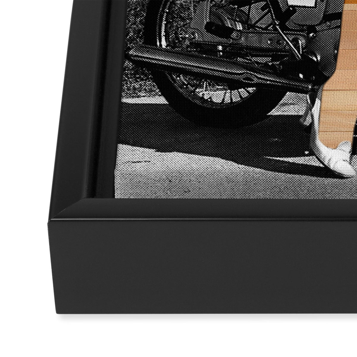 CardinalsRoller Collage Framed Canvas Print Gallery Image 3