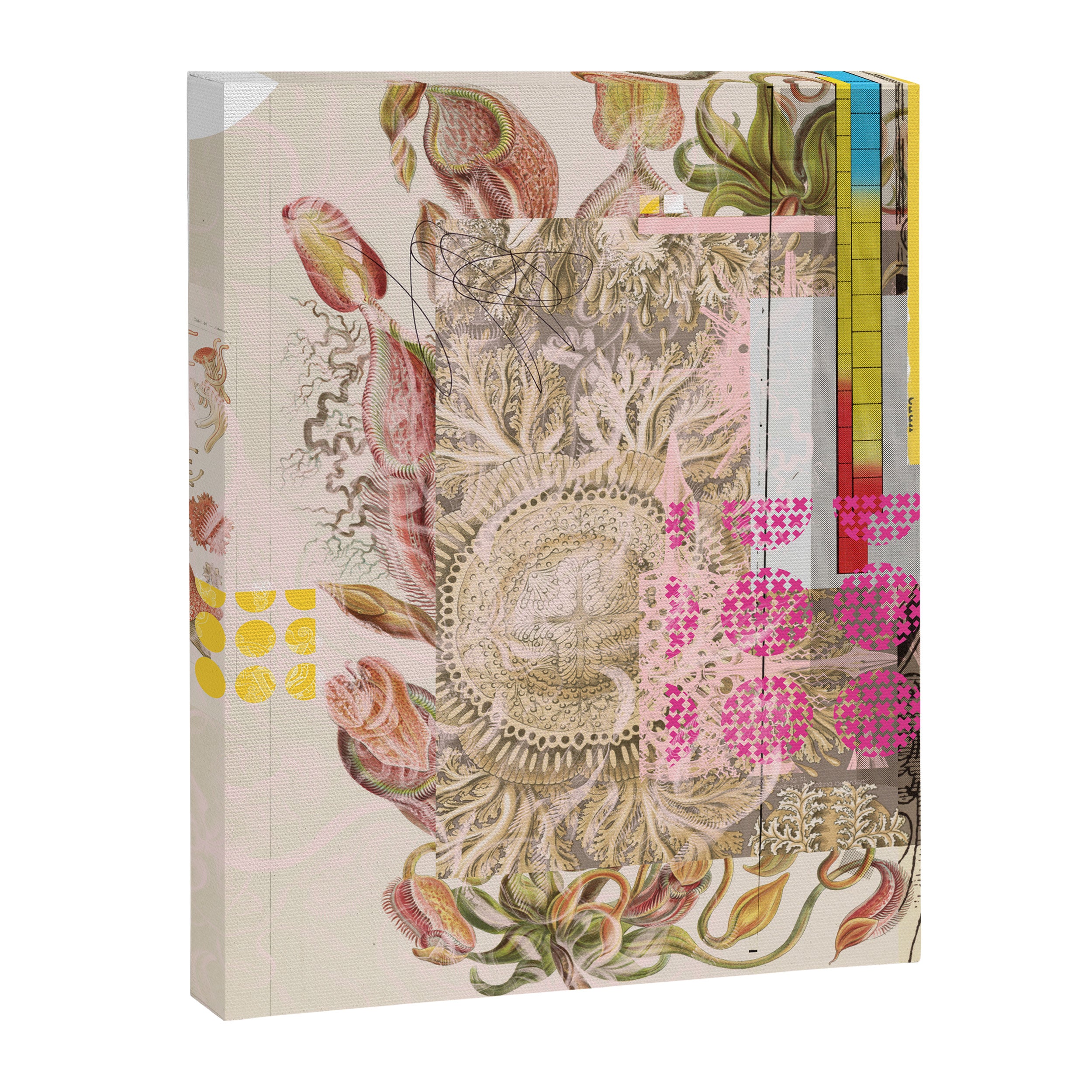 daydream aufbluehen der illusion Canvas Print Gallery Image 3