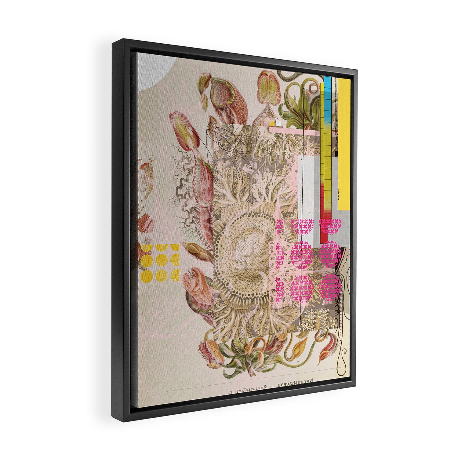 daydream aufbluehen der illusion Framed Canvas Print Gallery Image 2