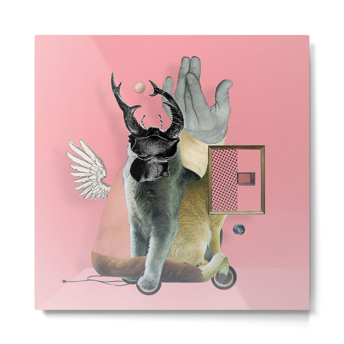 KatzenJammer 16 Metal Print Gallery Image 1